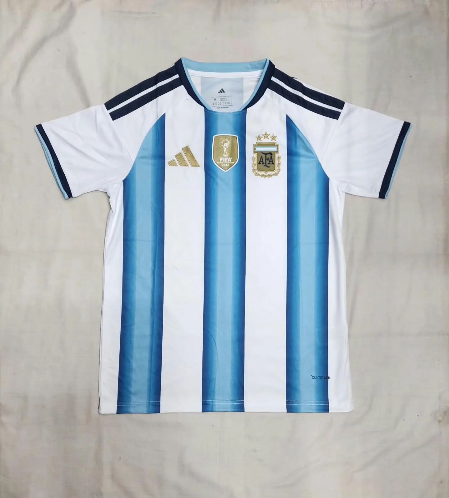 FAN ARGENTINA HOME 2022
